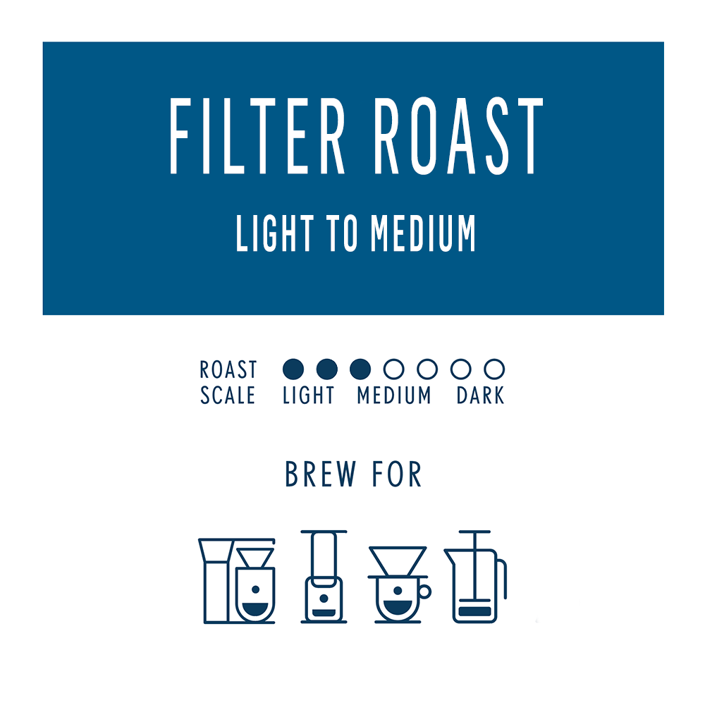Single Origin Filter
